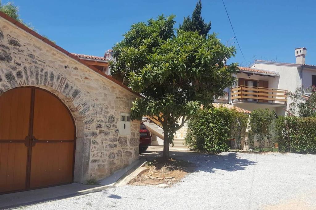 Casa Rustica Apartment Buici  Exterior photo